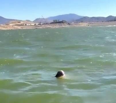 Misskenzieanne Nude Ass Teasing Video Leaked